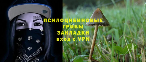 СК Зерноград