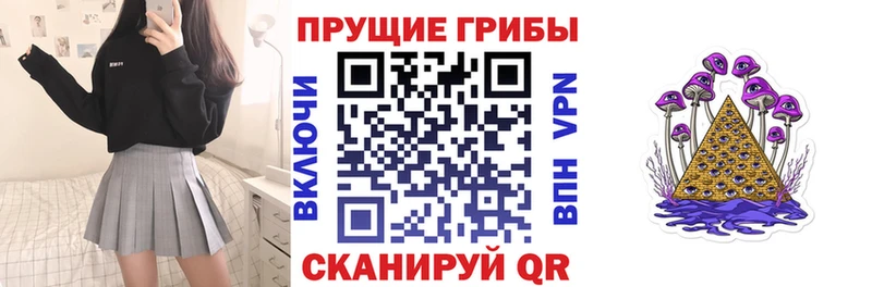 где продают Каменск-Шахтинский Галлюциногенные грибы Cubensis